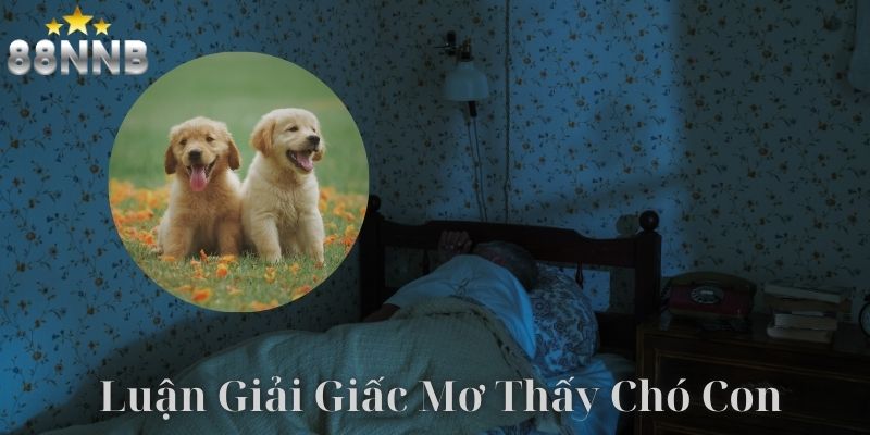 Điểm qua con số may mắn trong lô đề khi mơ thấy chó con