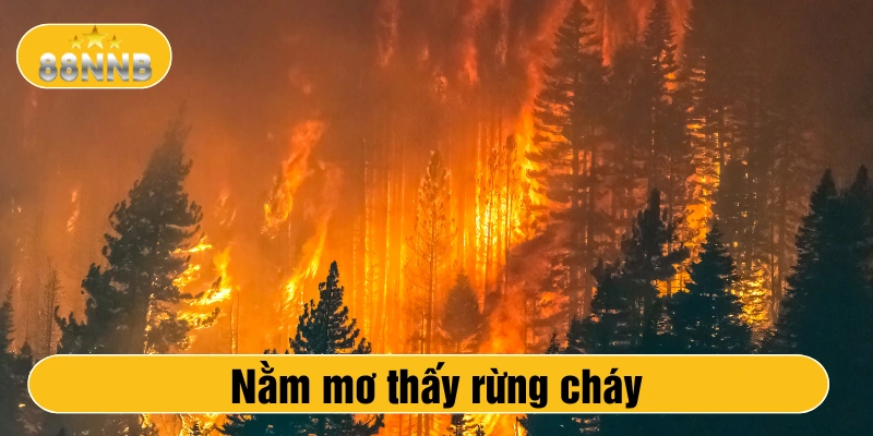 Nằm mơ thấy rừng cháy
